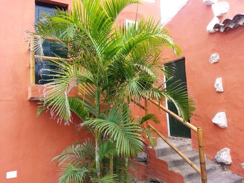 Apartmento Tabares Tejina المظهر الخارجي الصورة